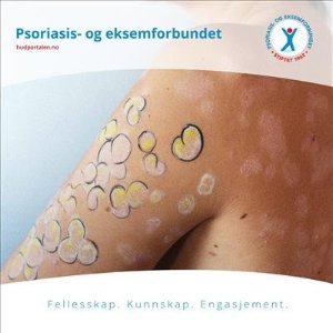 Fellesskap Kunnskap Engasjement